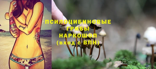 трава Богородицк