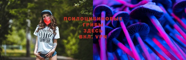 трава Богородицк