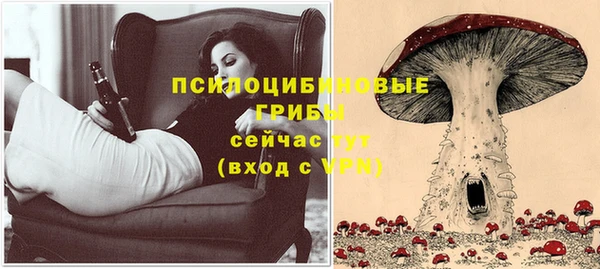 ECSTASY Богородск